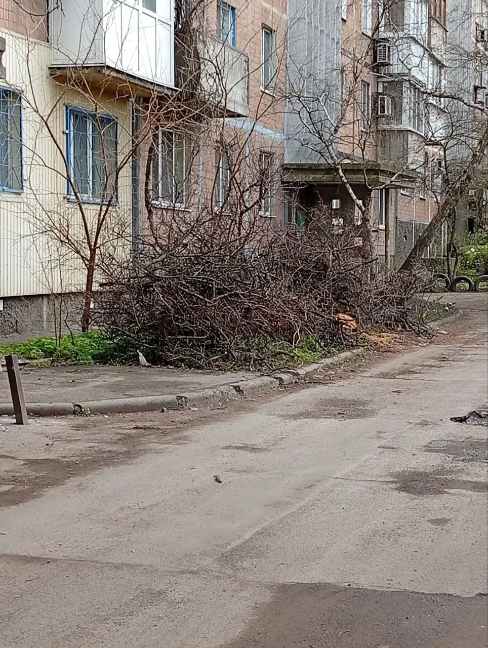 Мусор на авторынке не кто не убирает!!!
Куйбышевский район | Сетка — социальная сеть от hh.ru