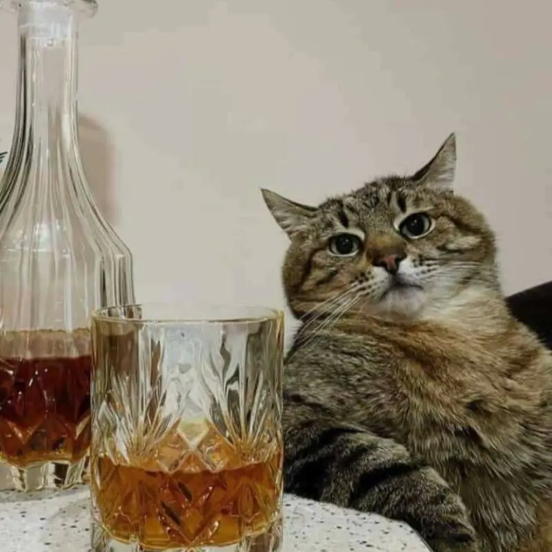 Иванова Светлана
