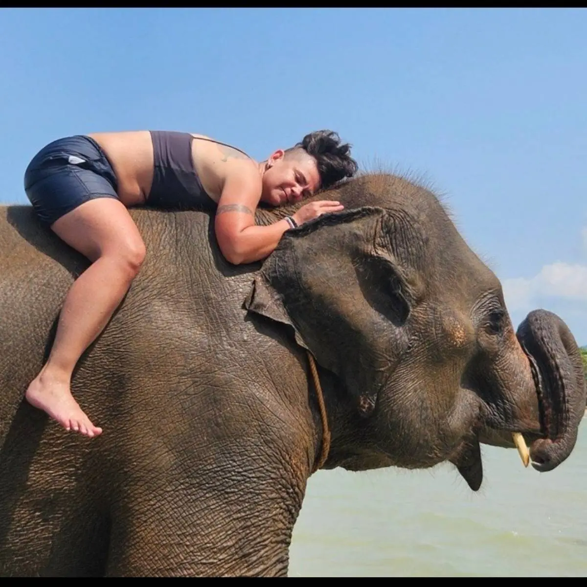 Юлия Шкиперова | Сетка — социальная сеть от hh.ru