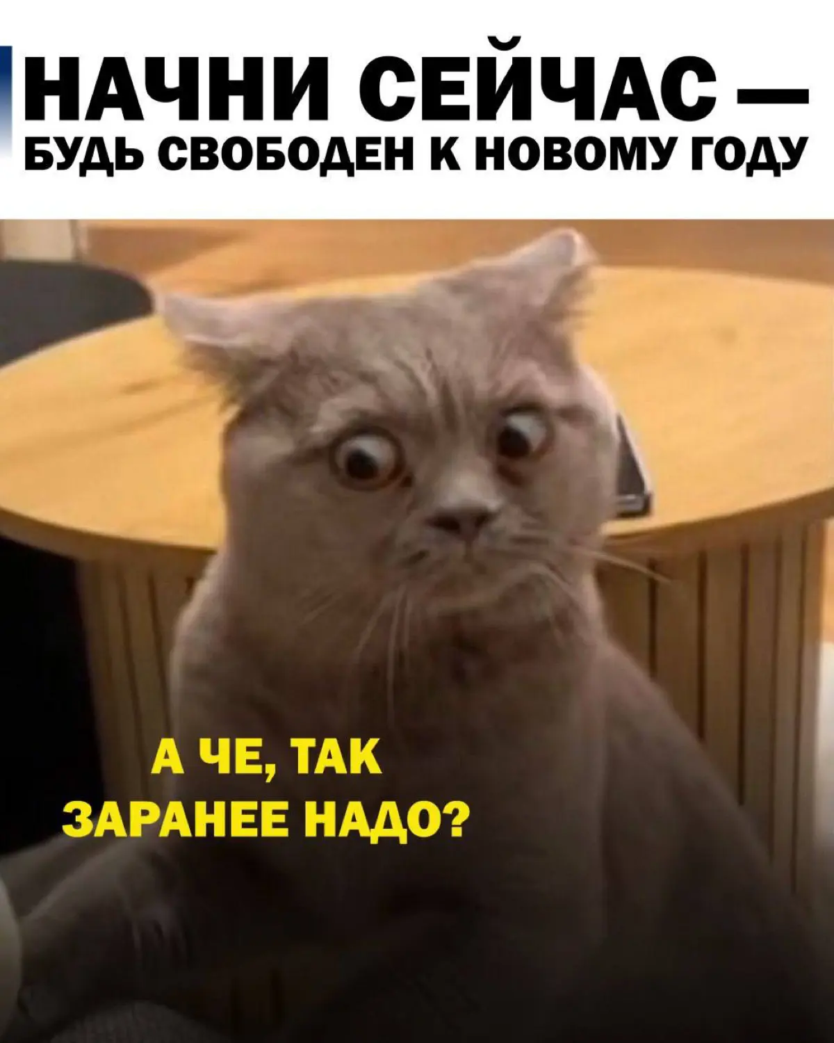 Если вы давно думаете о банкротстве, то апрель хорошее время для решения!
💥 Процесс обычно занимает около 8-10 месяцев, так что если подать заявление сейчас, к концу года вы сможете начать Новый год б... | Сетка — социальная сеть от hh.ru