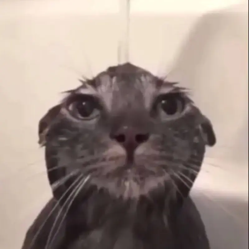 Рауль Ереван | Сетка — социальная сеть от hh.ru