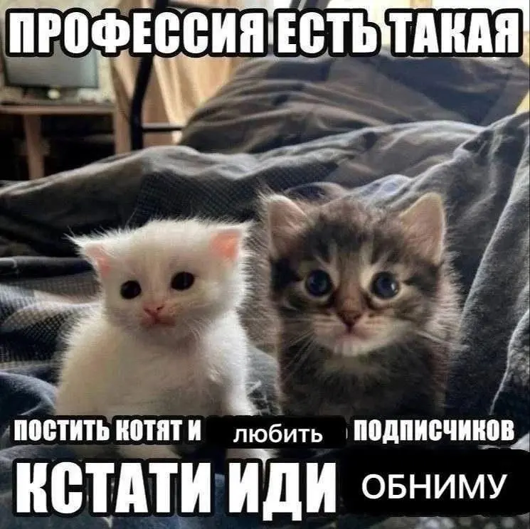 Стоит ли заводить телеграм канал сегодня?
Довольно часто задают такой вопрос. Еще чаще люди все-таки заводят канал и спрашивают — а как же лучше раскручиваться | Сетка — социальная сеть от hh.ru