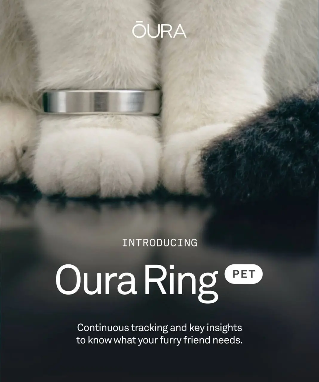 Oura Ring: как превратить биометрию в ежедневные решения
Oura Ring — умное кольцо, которое отслеживает сон, активность и восстановление | Сетка — социальная сеть от hh.ru