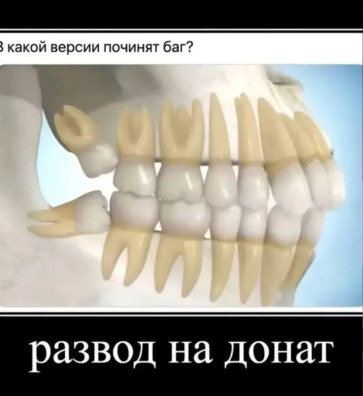Как я сделала 3 млн ₽ в стоматологии без покупки лидов | Сетка — социальная сеть от hh.ru