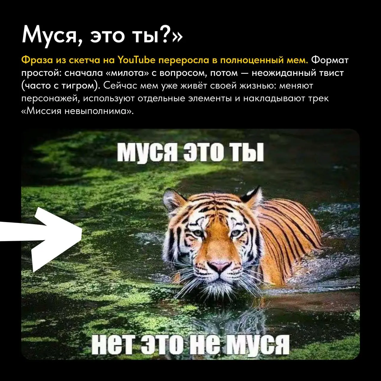 🔎 Что обсуждали на этой неделе?
Пропажи, горячие линии и Муся с Мусятами – собрали дайджест с интересными инфоповодами в нашей рубрике #кейсыитрендынедели
↗️Читайте и делитесь с командой если еще не у... | Сетка — социальная сеть от hh.ru