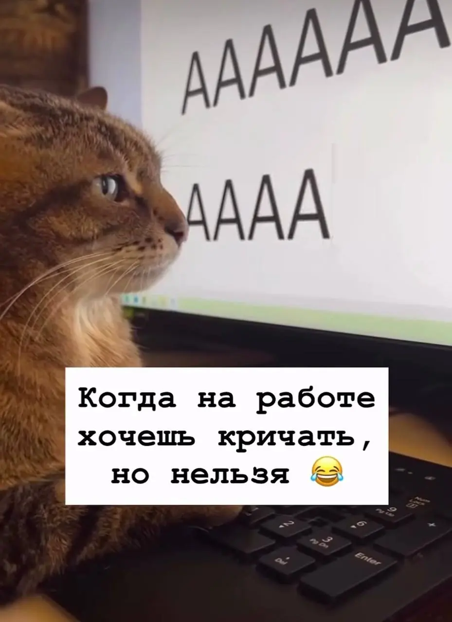 Мем дня
@bechinproducer | Сетка — социальная сеть от hh.ru
