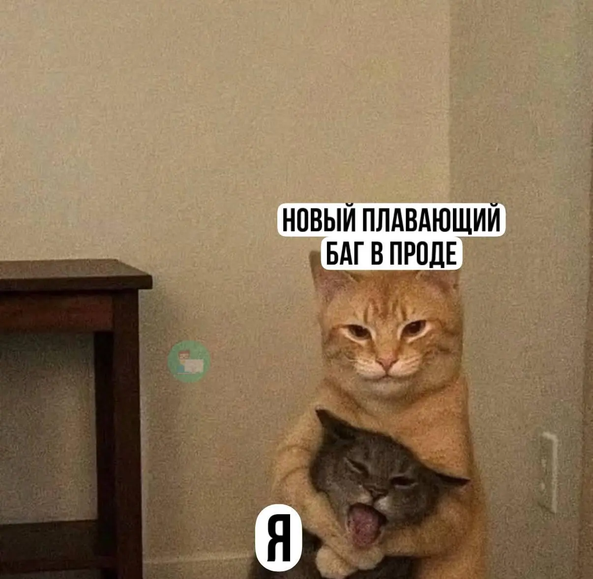 #IT
😂 ПМ 💬 MAX 🛍 Другие каналы
В этом посте были ссылки, но мы их удалили по правилам Сетки | Сетка — социальная сеть от hh.ru