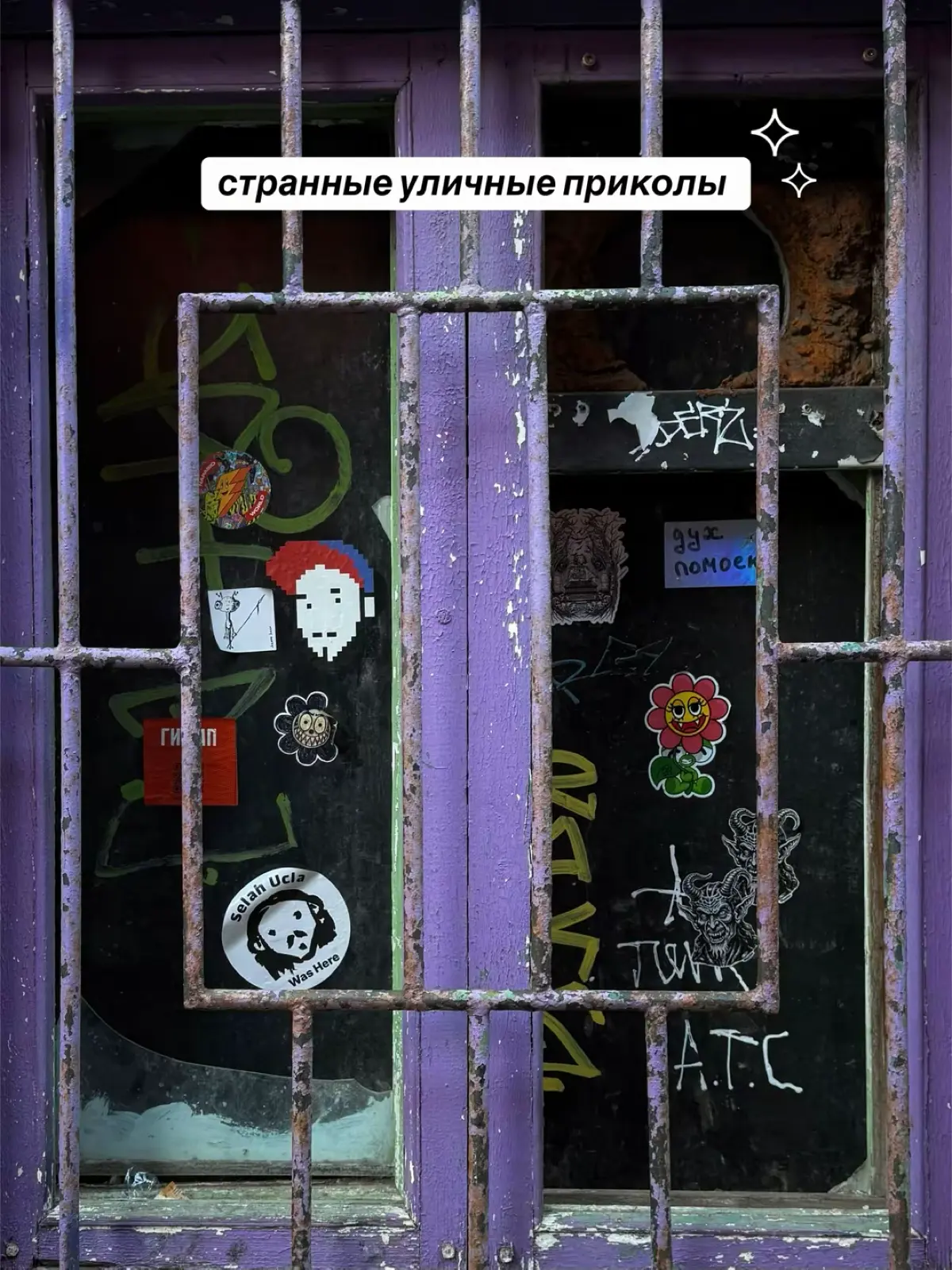 все начинается за кадром 📸 | Сетка — социальная сеть от hh.ru