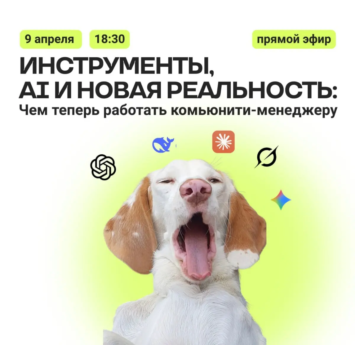 Прямой эфир Инструменты, AI и новая реальность | Сетка — социальная сеть от hh.ru