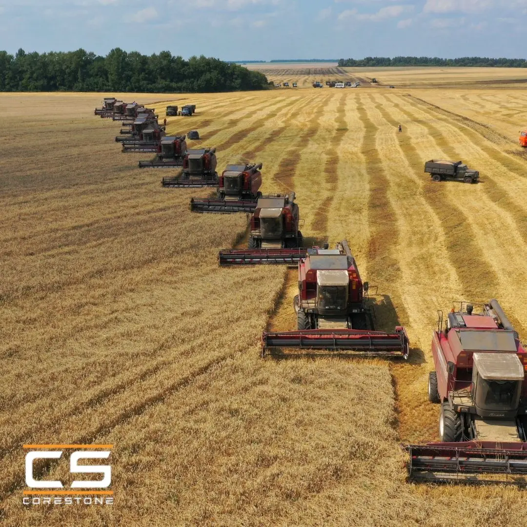 🚜 ЧТО НА САМОМ ДЕЛЕ ПРОИСХОДИТ В АГРОСЕКТОРЕ И НА РЫНКЕ ТЕХНИКИ — И ПРИ ЧЁМ ТУТ РЕЕСТР МИНПРОМТОРГ
АПК растёт — но растёт на бюджетных рельсах | Сетка — социальная сеть от hh.ru