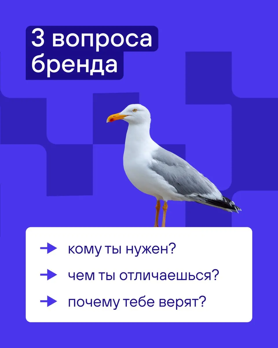 За чашкой кофе думали: почему крутые продукты часто никто не запоминает? Многие заказывают лого за 5 тысяч у знакомого студента, выбирают цвета по настроению и считают, что «бренд готов» | Сетка — социальная сеть от hh.ru
