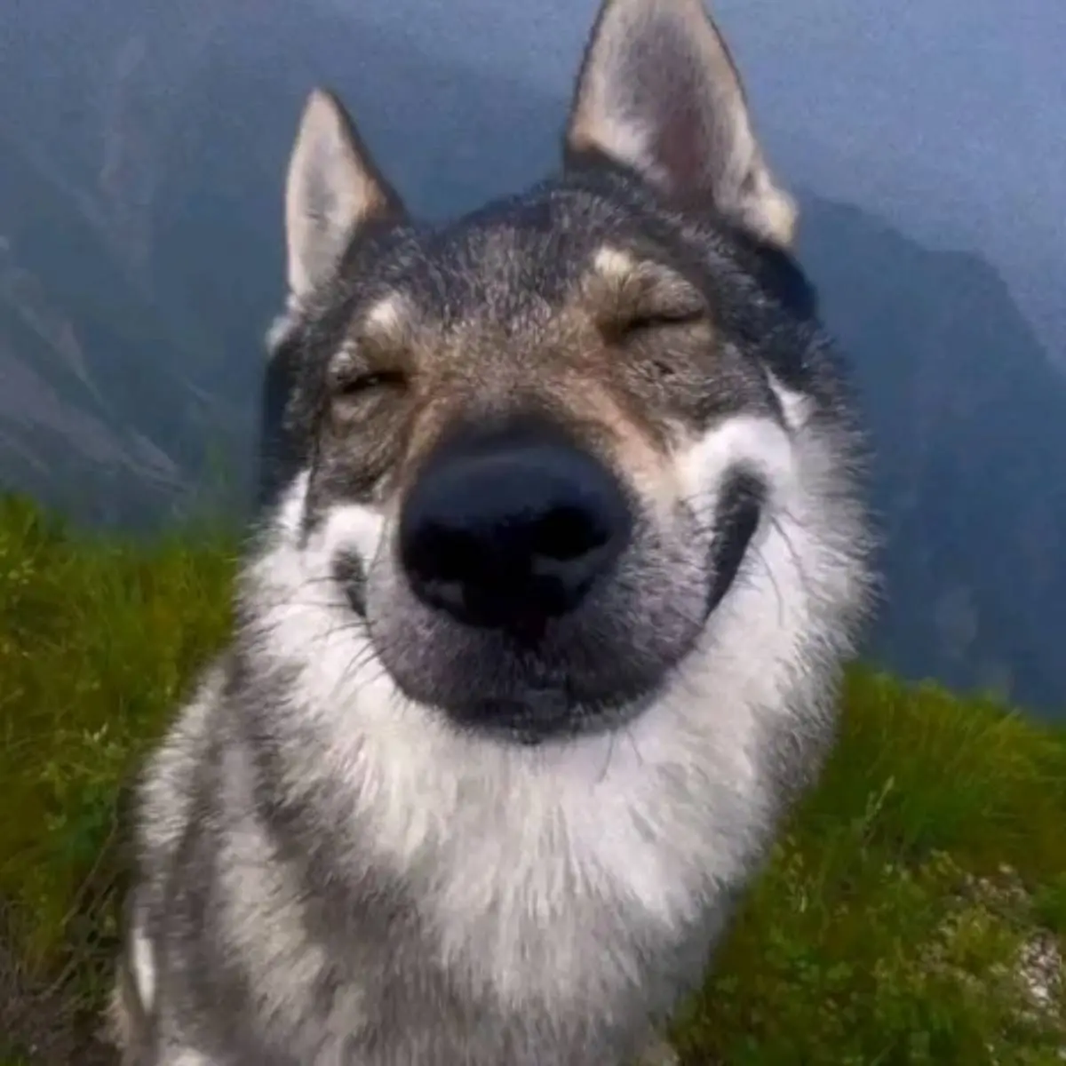 Иоанна Кривоносова