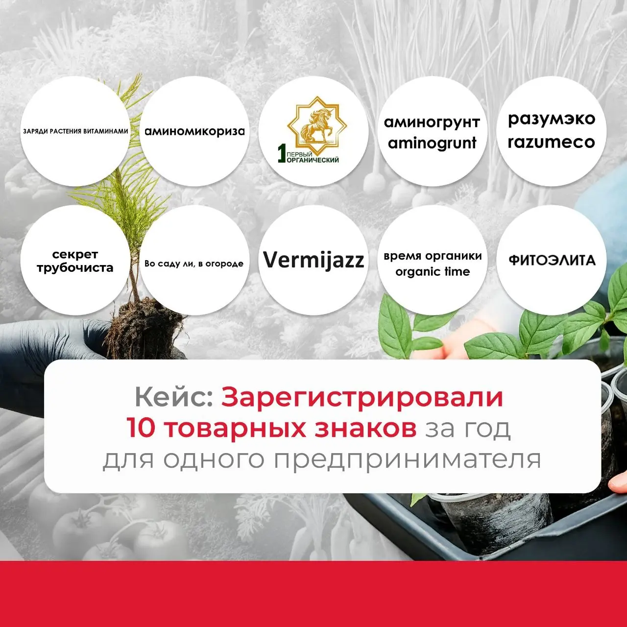 ✔️Кейс: Зарегистрировали 10 товарных знаков за год для одного предпринимателя
К нам часто возвращаются. Клиенты доверяют нам свои регистрации снова и снова. И это очень приятно | Сетка — социальная сеть от hh.ru