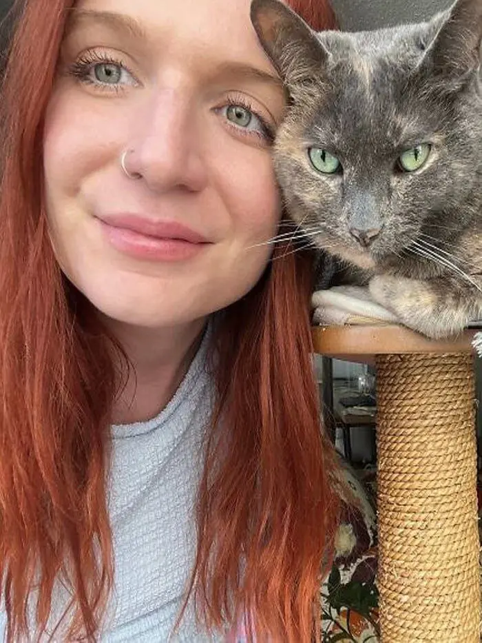 Девушка уже 9 лет путешествует за счёт чужих котов — живёт в домах незнакомцев по всему миру и присматривает за их пушистыми, пока хозяева уезжают | Сетка — социальная сеть от hh.ru