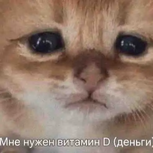 Мария Степанова | Сетка — социальная сеть от hh.ru