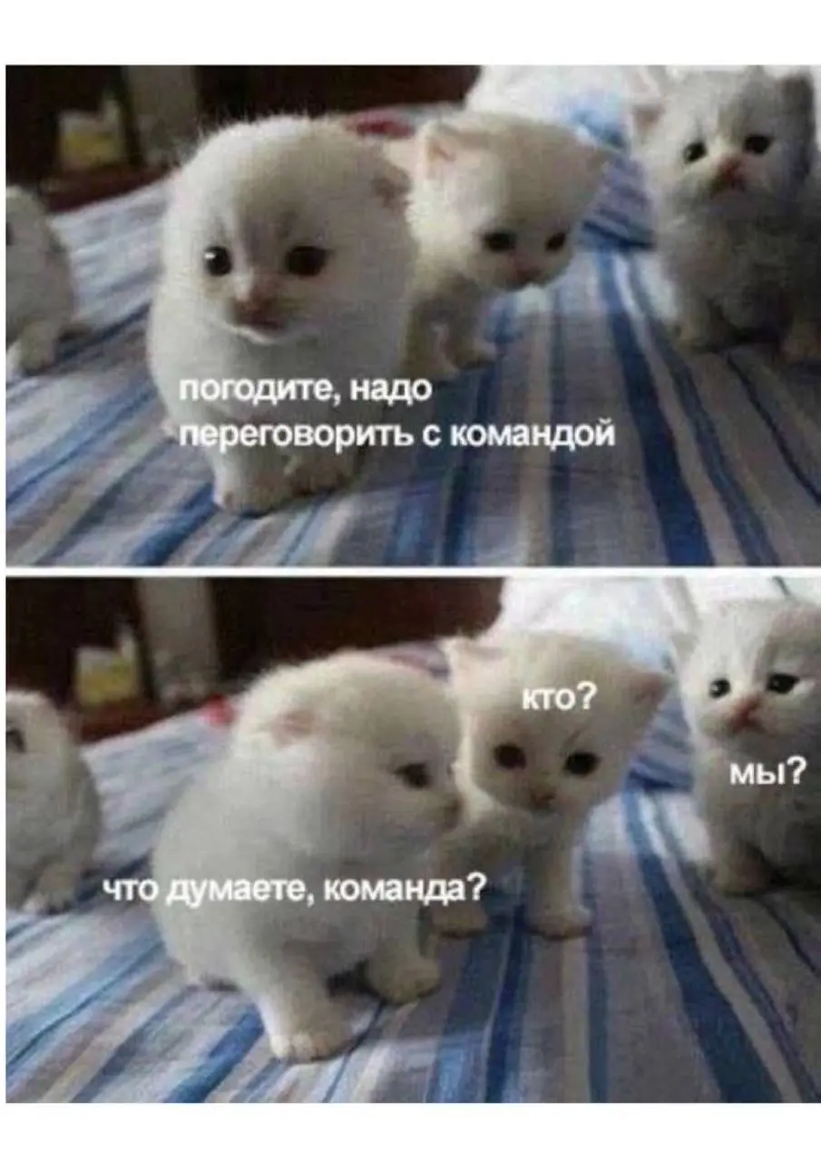 Про согласования и «решаем вместе», коротко. | Сетка — социальная сеть от hh.ru