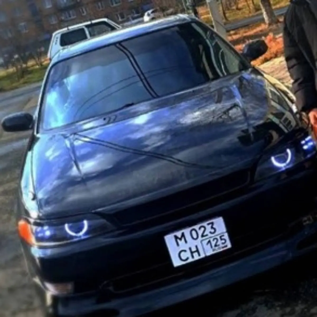 Network member avatar