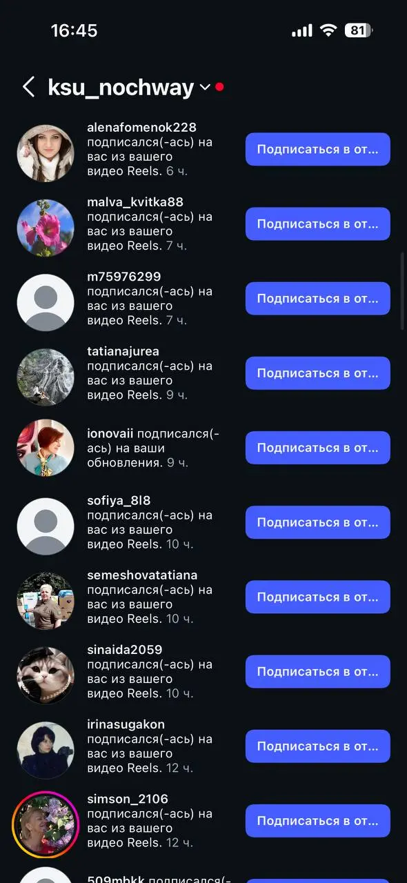 Ролик привел 81 подписчик за 3 дня | Сетка — социальная сеть от hh.ru