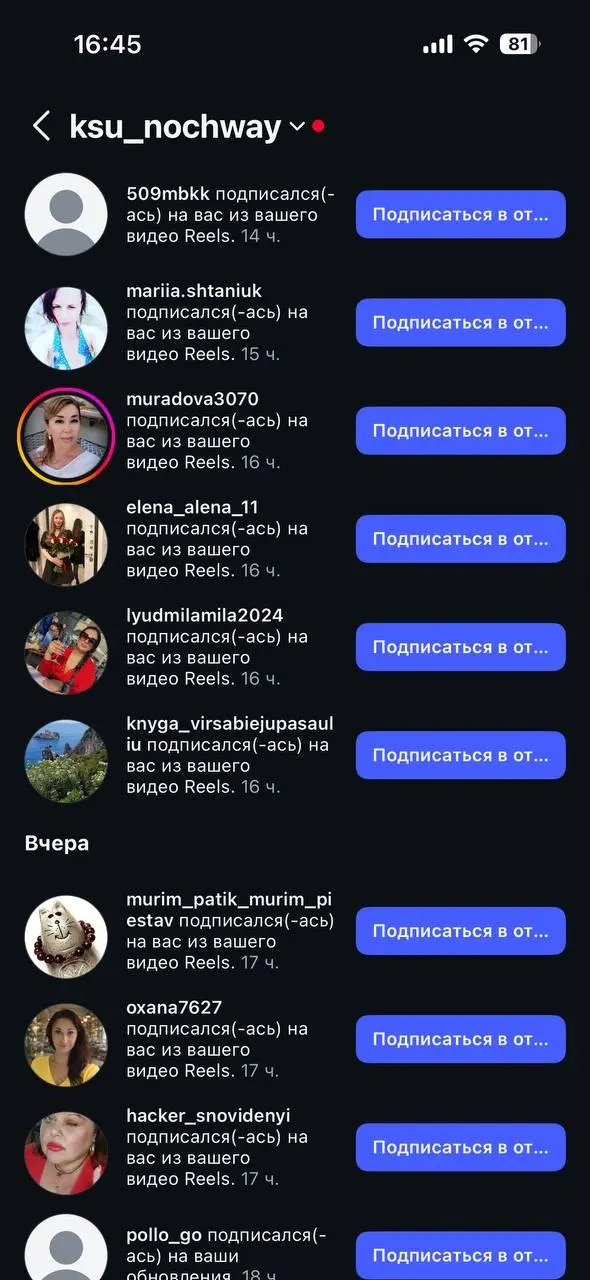 Ролик привел 81 подписчик за 3 дня | Сетка — социальная сеть от hh.ru