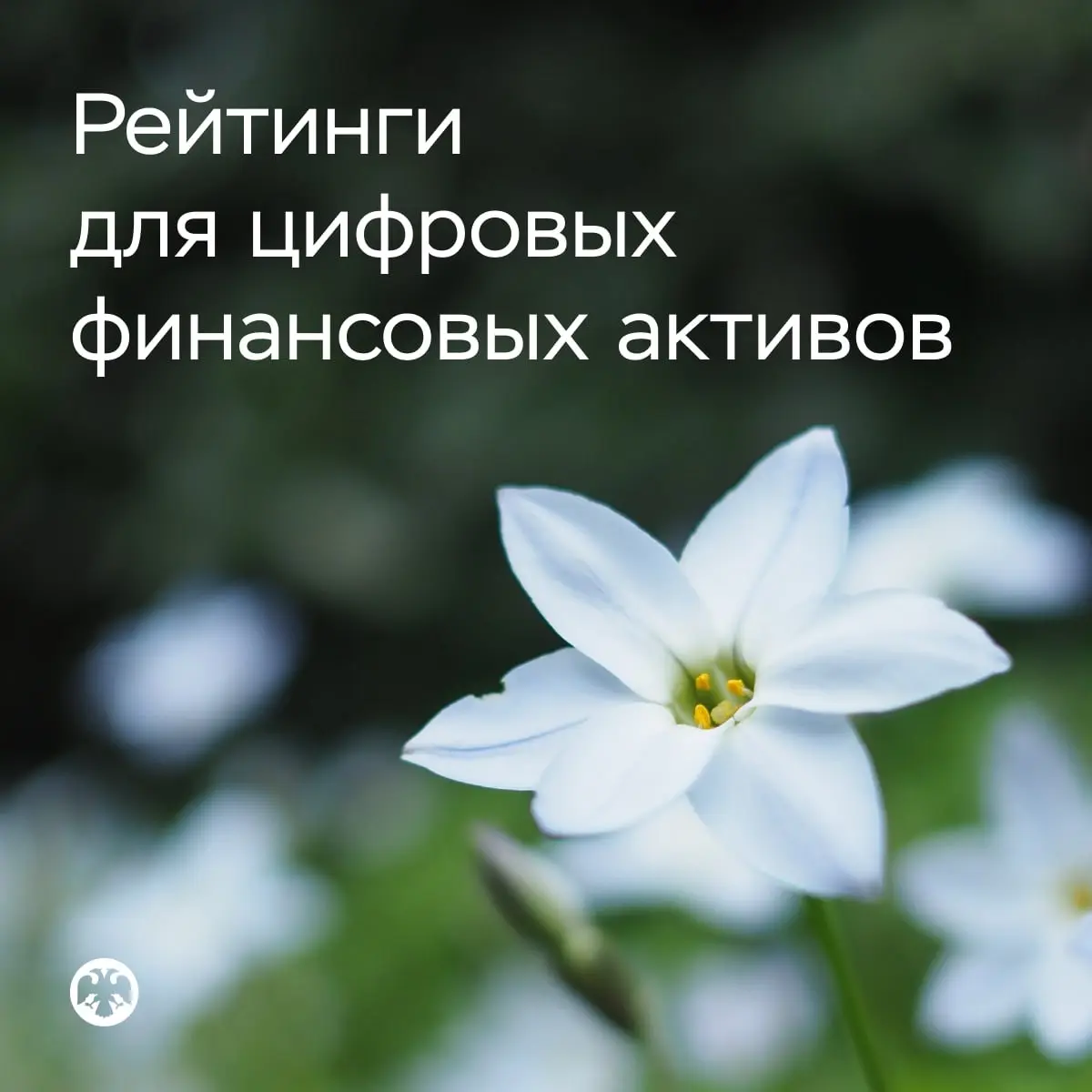 ♟️ Рейтинги для цифровых финансовых активов
Банк России определил минимальный уровень кредитного качества цифровых финансовых активов (ЦФА), доступных для неквалифицированных инвесторов | Сетка — социальная сеть от hh.ru