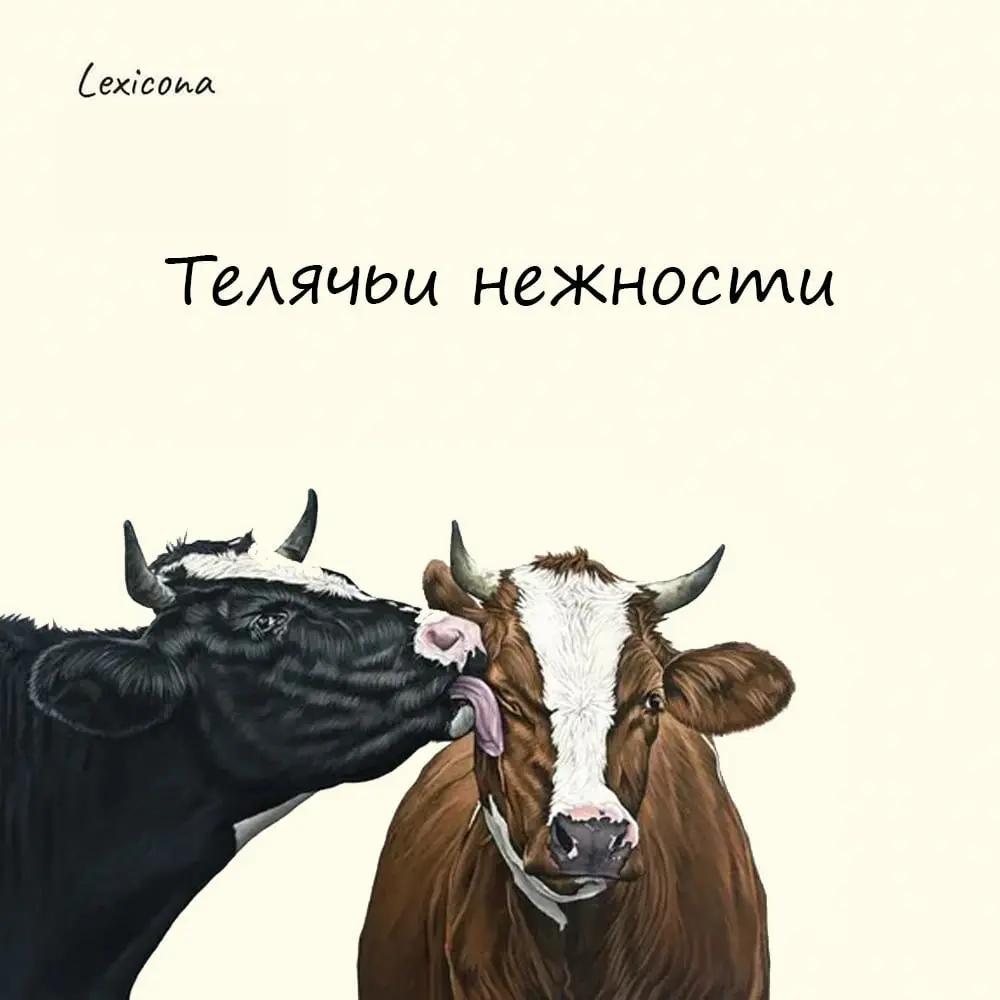 Телячьи нежности
— фразеологизм означает чрезмерное или неуместное выражение нежных чувств | Сетка — социальная сеть от hh.ru