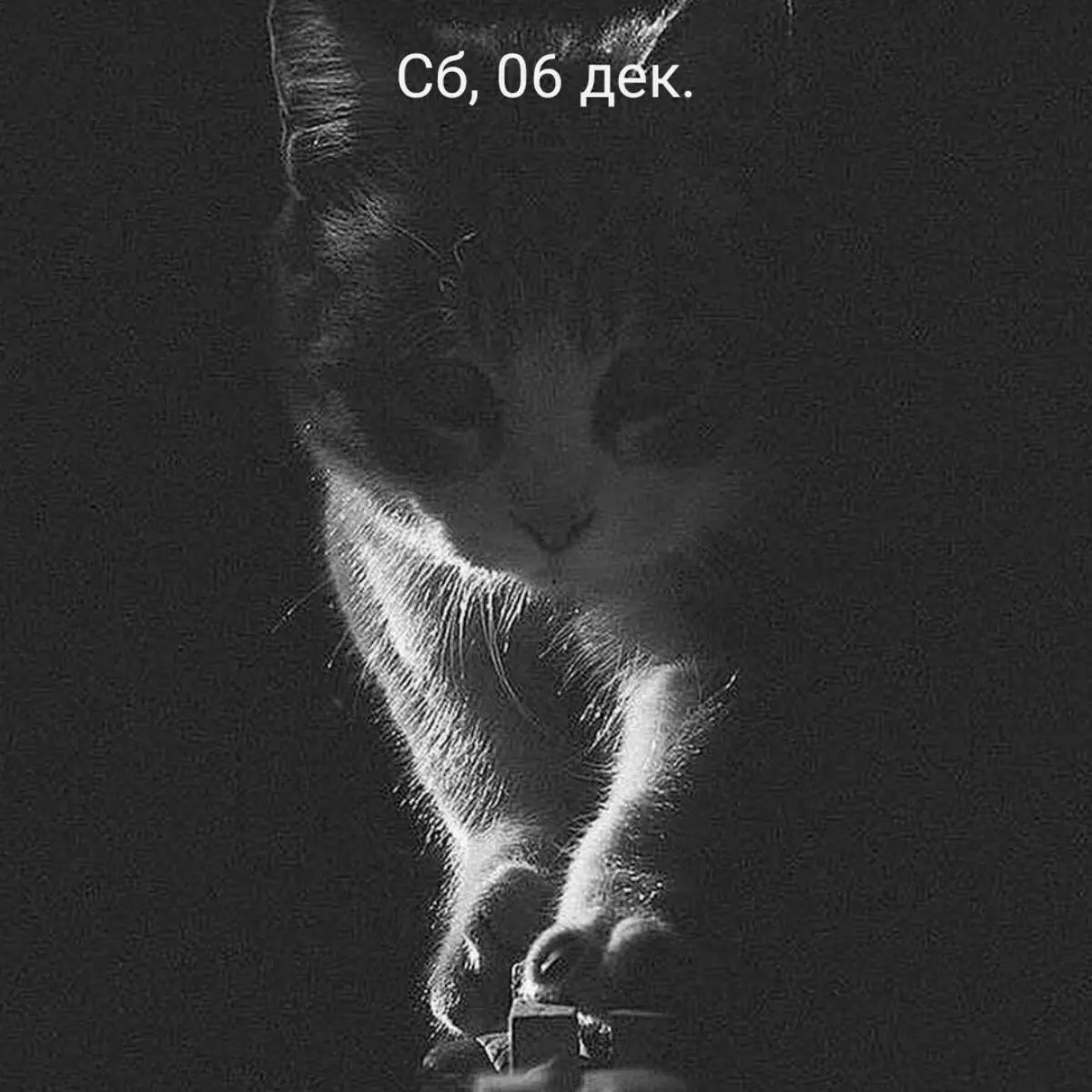 Руслан Сибгатуллин