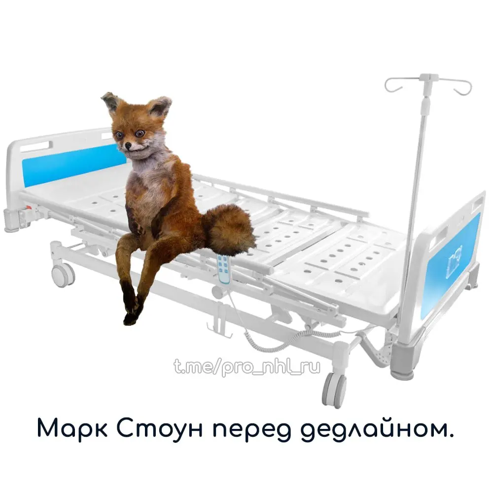 Прошлогодний мем. Жаль, не пригодился в этом году.
@pronhlru | Сетка — социальная сеть от hh.ru