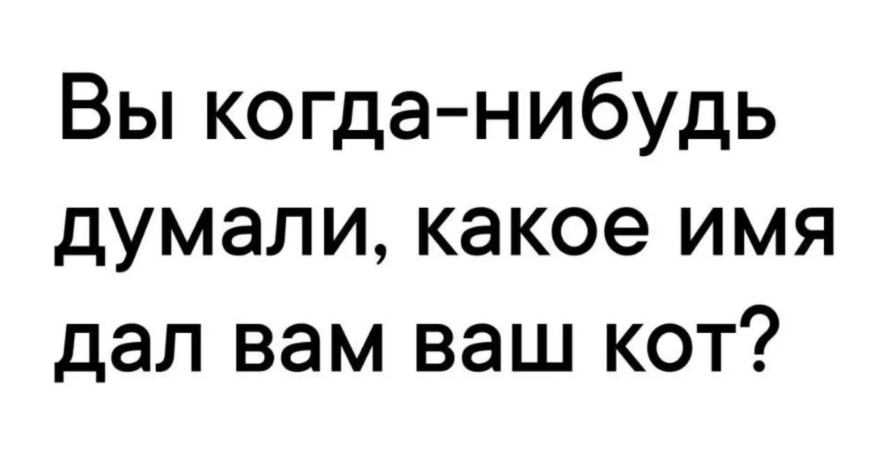 У нас 5 котов - значит 5 имен для каждого 🧐
#Юмор@poldner #Коты@poldner | Сетка — социальная сеть от hh.ru