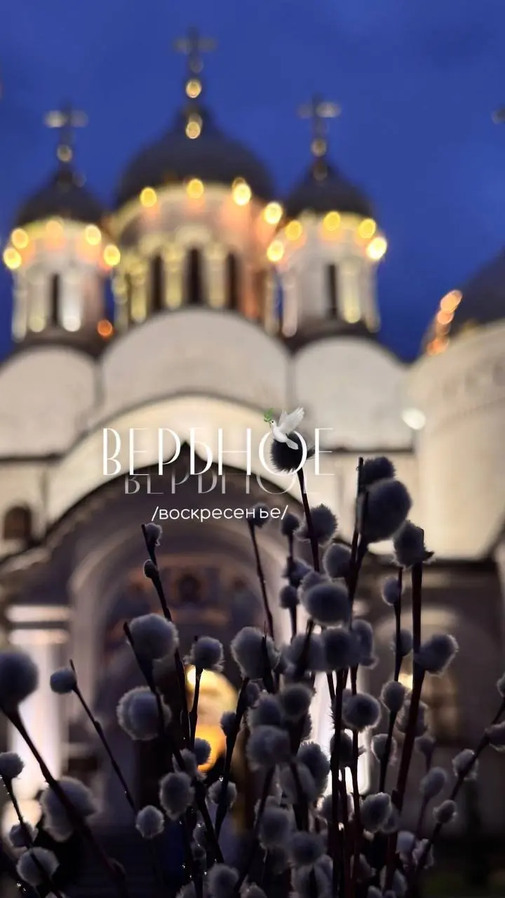 С Вербным Воскресеньем✨🪽
Любви, искренней доброты и Божьего благословения вашим семьям!🤍 | Сетка — социальная сеть от hh.ru