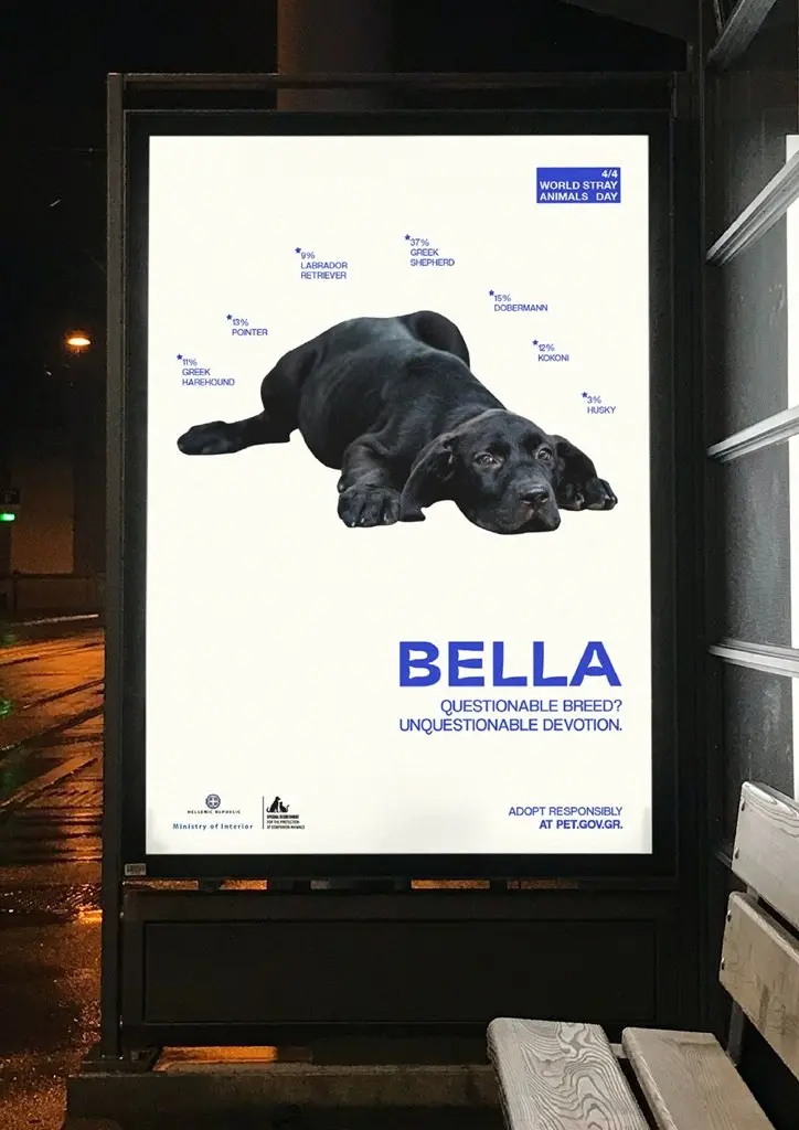 🐶 Они не принадлежат одной породе — они принадлежат многим 🐶
В преддверии Всемирного дня бездомных животных греческое Министерство внутренних дел и агентство The Newtons Laboratory запустили кампанию ... | Сетка — социальная сеть от hh.ru