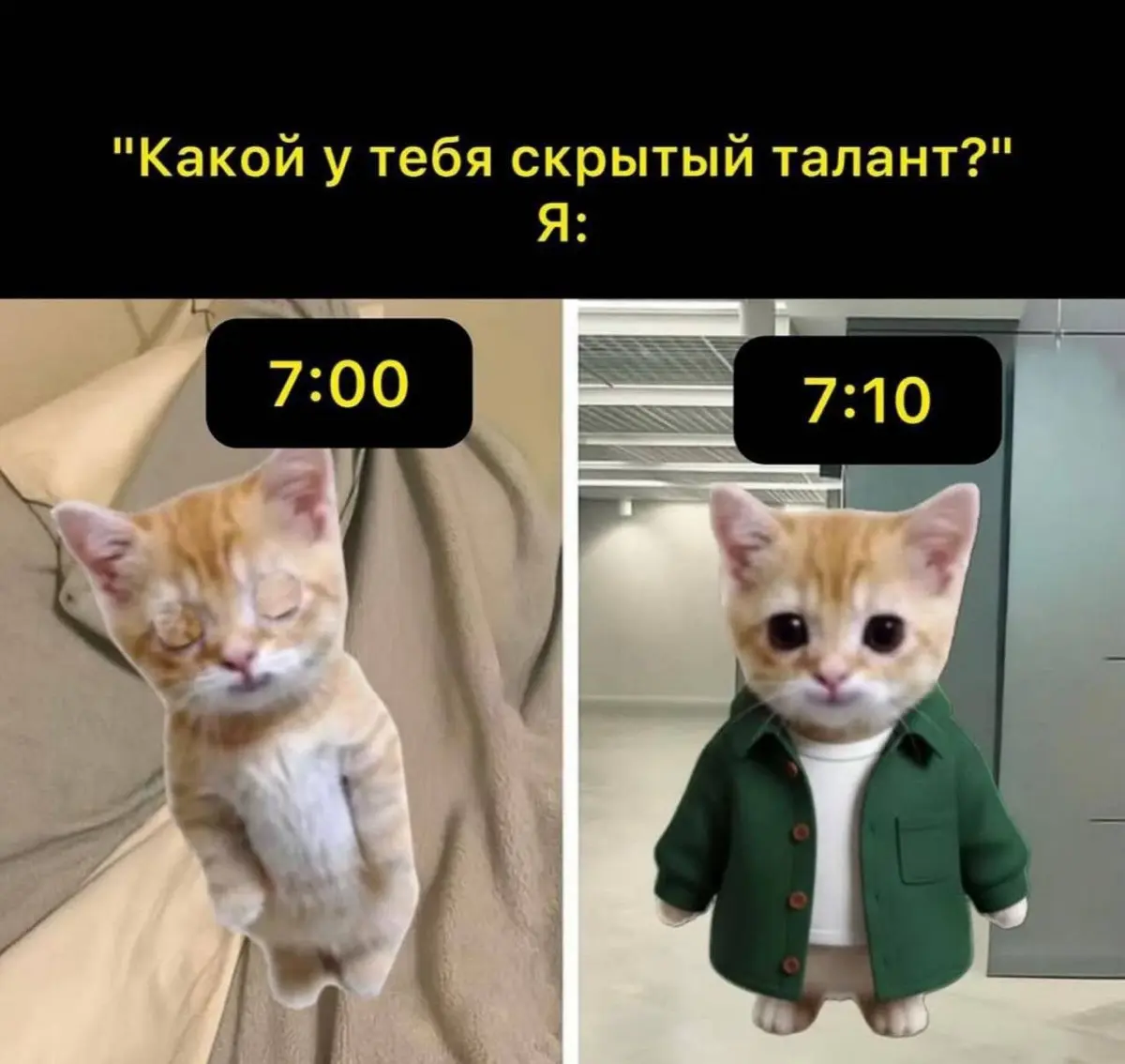 Дайджест свежих вакансий на Платформе Джобстер | Сетка — социальная сеть от hh.ru