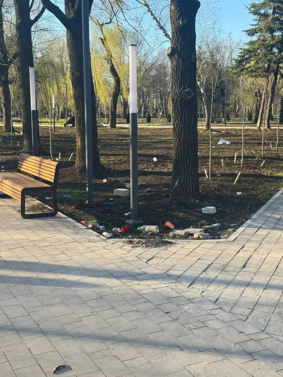 Югорский парк в Макеевке.
В мусоре всё. | Сетка — социальная сеть от hh.ru