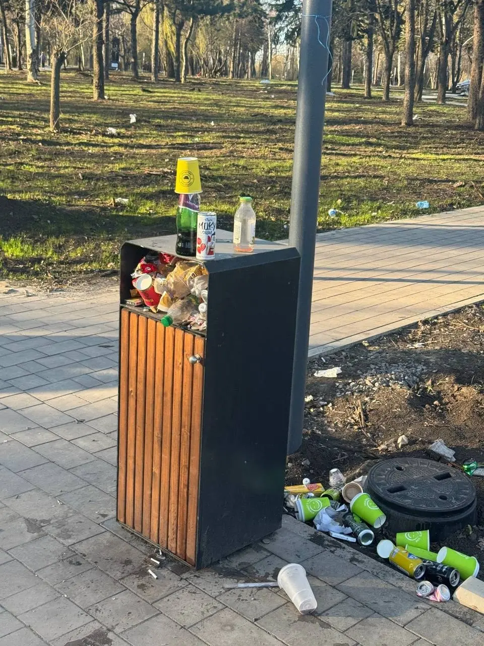 Югорский парк в Макеевке.
В мусоре всё. | Сетка — социальная сеть от hh.ru