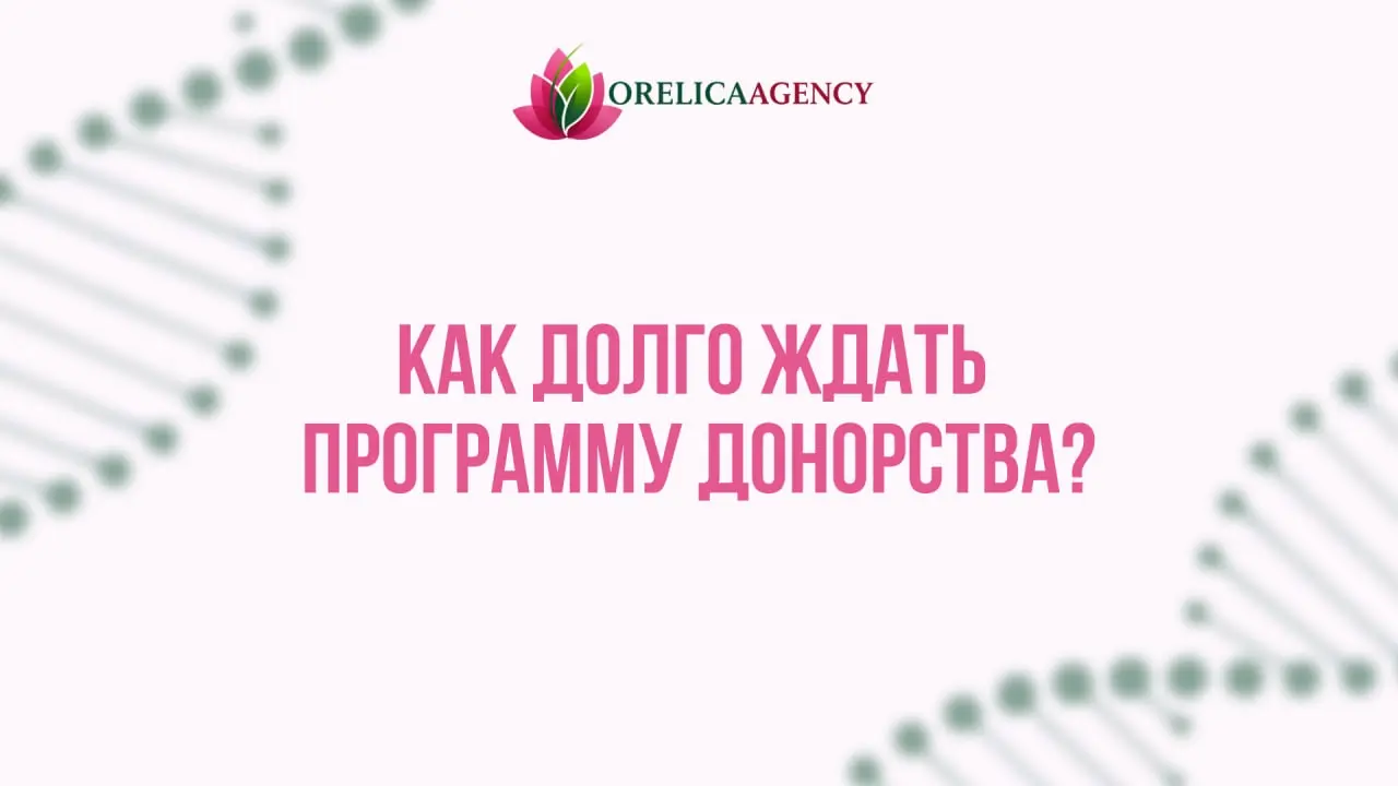 🍀 Как долго ждать программу донорства | Сетка — социальная сеть от hh.ru