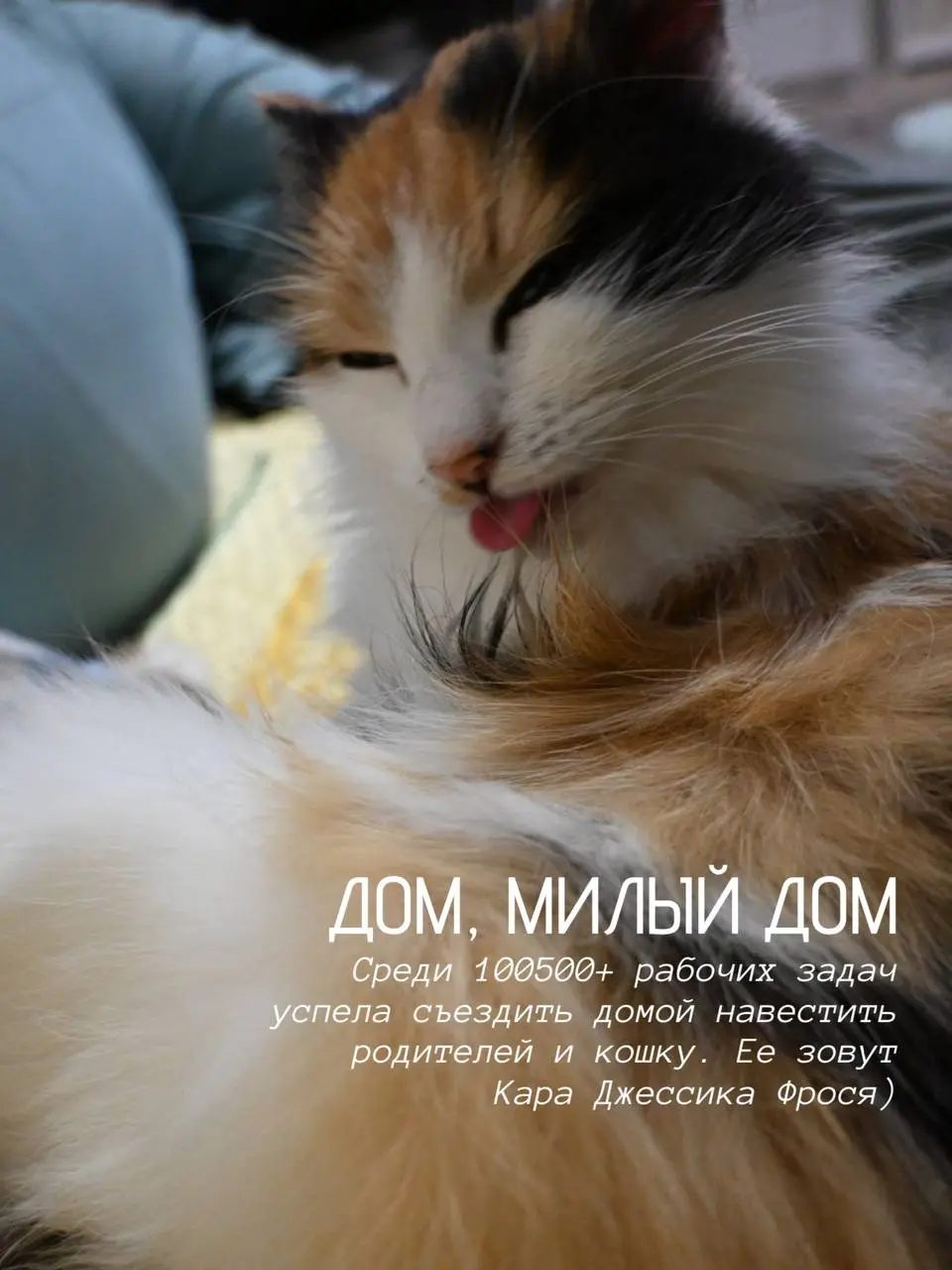 Главный итог марта: я так и не сходила в Дом енотов 😂
Остальные итоги - в картинках | Сетка — социальная сеть от hh.ru