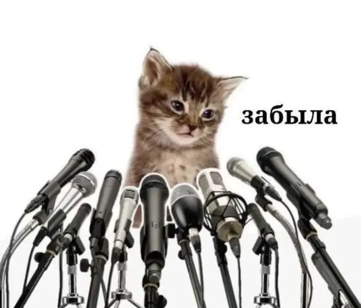 Иногда мы все этот котёночек.... | Сетка — социальная сеть от hh.ru