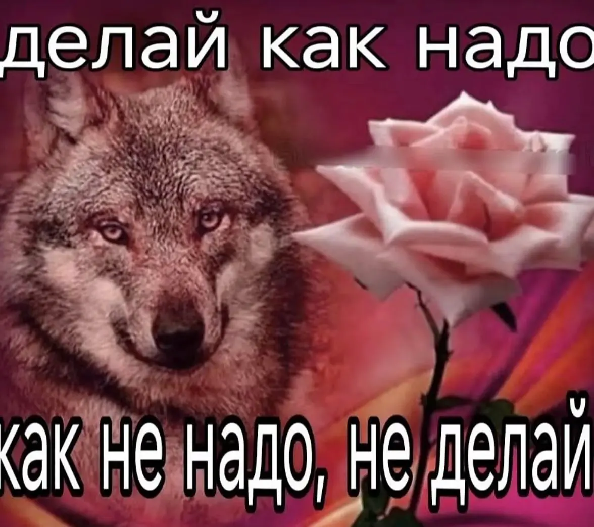 Напоминание | Сетка — социальная сеть от hh.ru