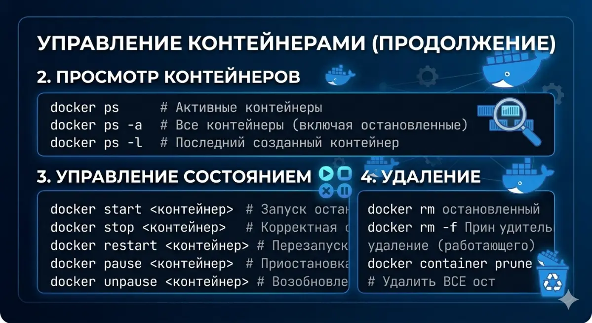 Docker популярные команды | Сетка — социальная сеть от hh.ru