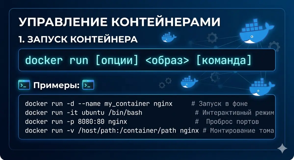Docker популярные команды | Сетка — социальная сеть от hh.ru