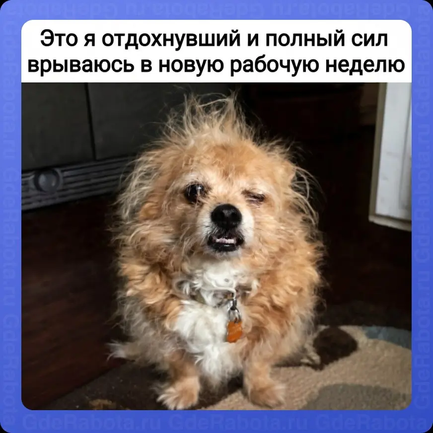 С понедельником! Хорошей рабочей недели 😏
#работа #GdeRabota #вакансии | Сетка — социальная сеть от hh.ru