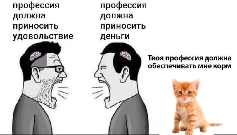 Единственный критерий отбора 😂
от любимого клиента Айжан ❤️
#Юмор@poldner    #Коты@poldner | Сетка — социальная сеть от hh.ru