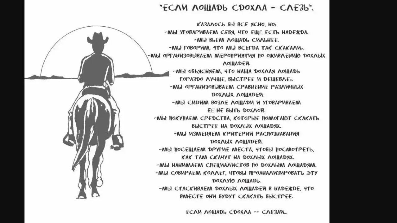 #newlife | Сетка — социальная сеть от hh.ru