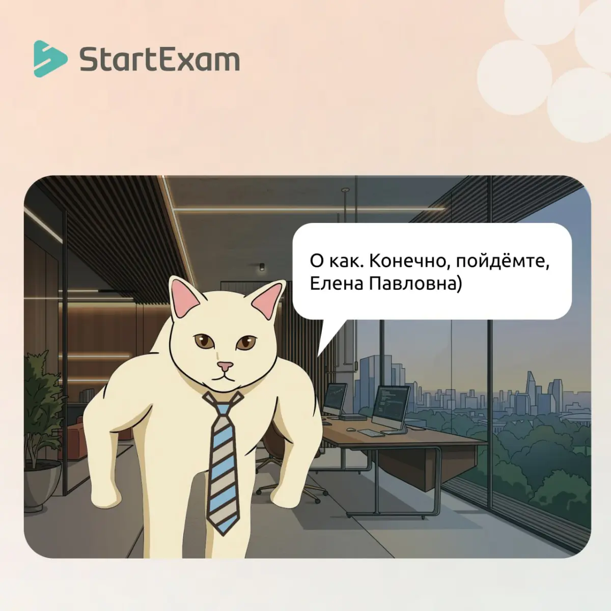 4 темы, которые важно знать каждому HR и руководителю | Сетка — социальная сеть от hh.ru