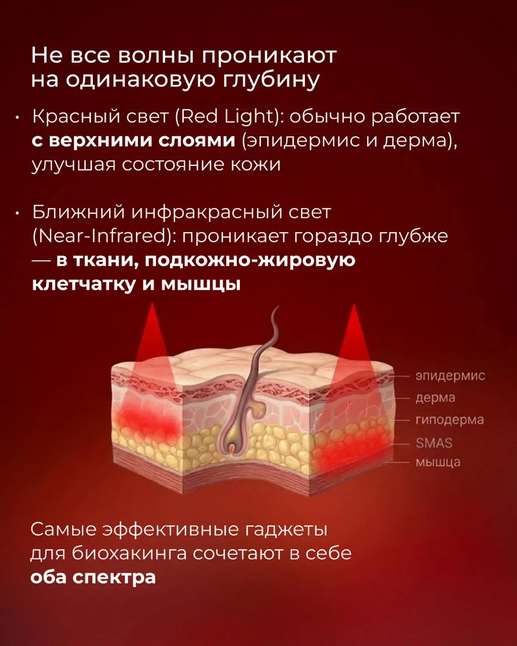 Почему биохакеры помешаны на красном свете? Разбираем научную базу 💡
Вы уже пробовали светотерапию или пока только присматриваетесь к красным лампам?
Делитесь мыслями и впечатлениями в комментариях | Сетка — социальная сеть от hh.ru