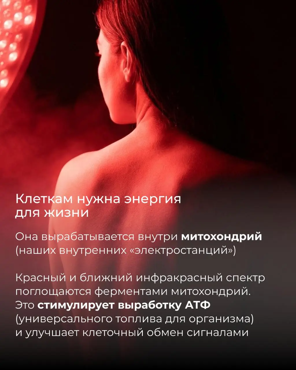 Почему биохакеры помешаны на красном свете? Разбираем научную базу 💡
Вы уже пробовали светотерапию или пока только присматриваетесь к красным лампам?
Делитесь мыслями и впечатлениями в комментариях | Сетка — социальная сеть от hh.ru