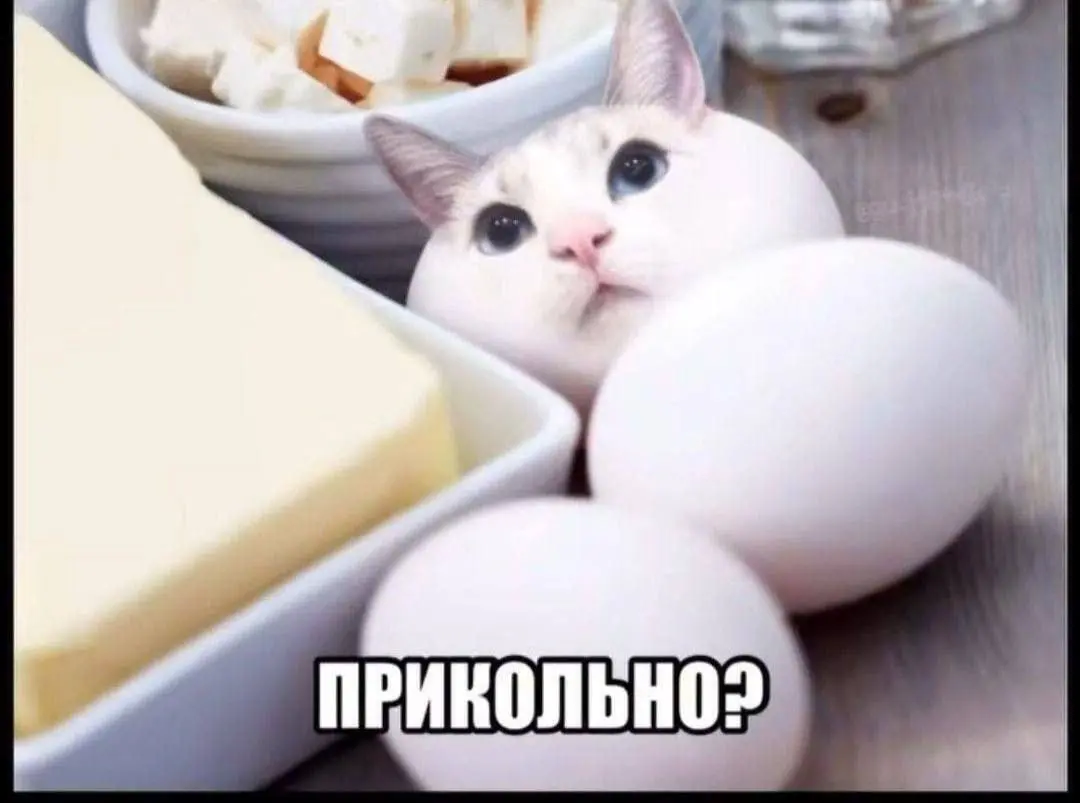 Тень гиганта | Сетка — социальная сеть от hh.ru