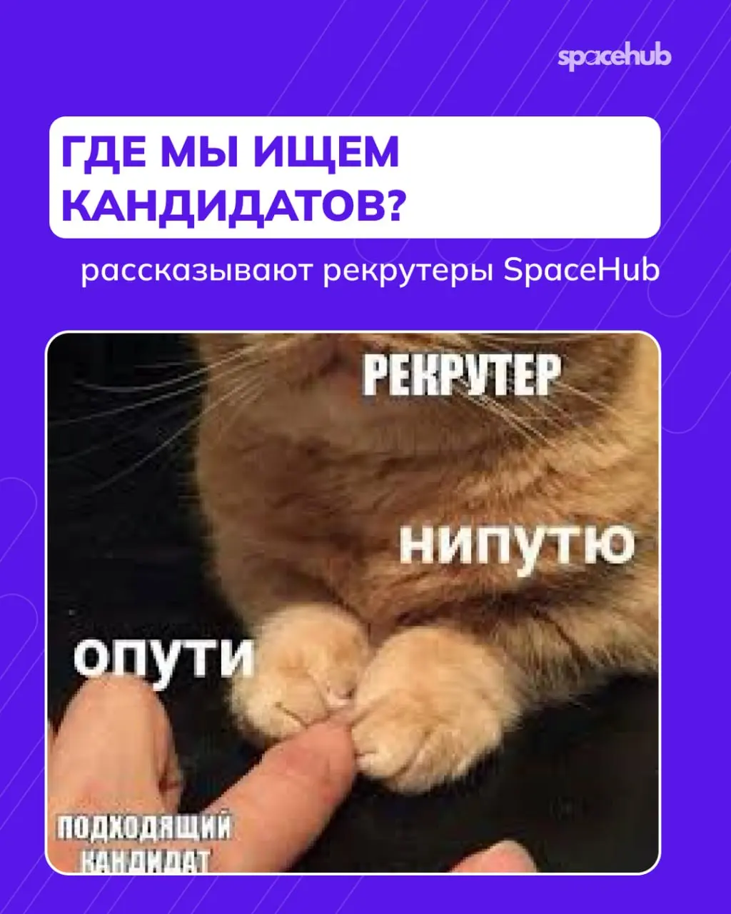 Труженики! 🐝
Где разместить резюме, чтобы рекрутеры вас точно заметили?
Мы с вами прошлые недели активно работали над резюме: разбирали ошибки, лайфхаки и смотрели разборы реально приходящих к нам рез... | Сетка — социальная сеть от hh.ru