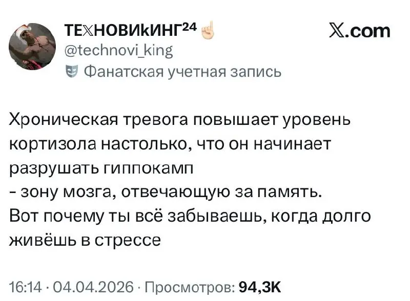 #wtf | Сетка — социальная сеть от hh.ru