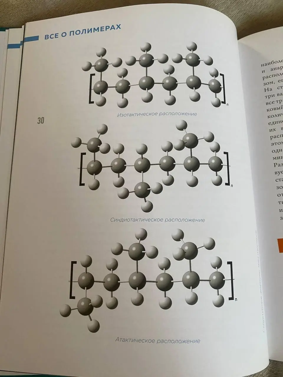 Полимерный обзор👩🏻‍🔬
Новая книга в рекомендации от волонтёрки и экомамы Ани Хоботовой 🪴
Как я и обещала, исследую книгу-энциклопедию «Всё о полимерах» (автор Игорь Гордий, издательство «Москва» при по... | Сетка — социальная сеть от hh.ru