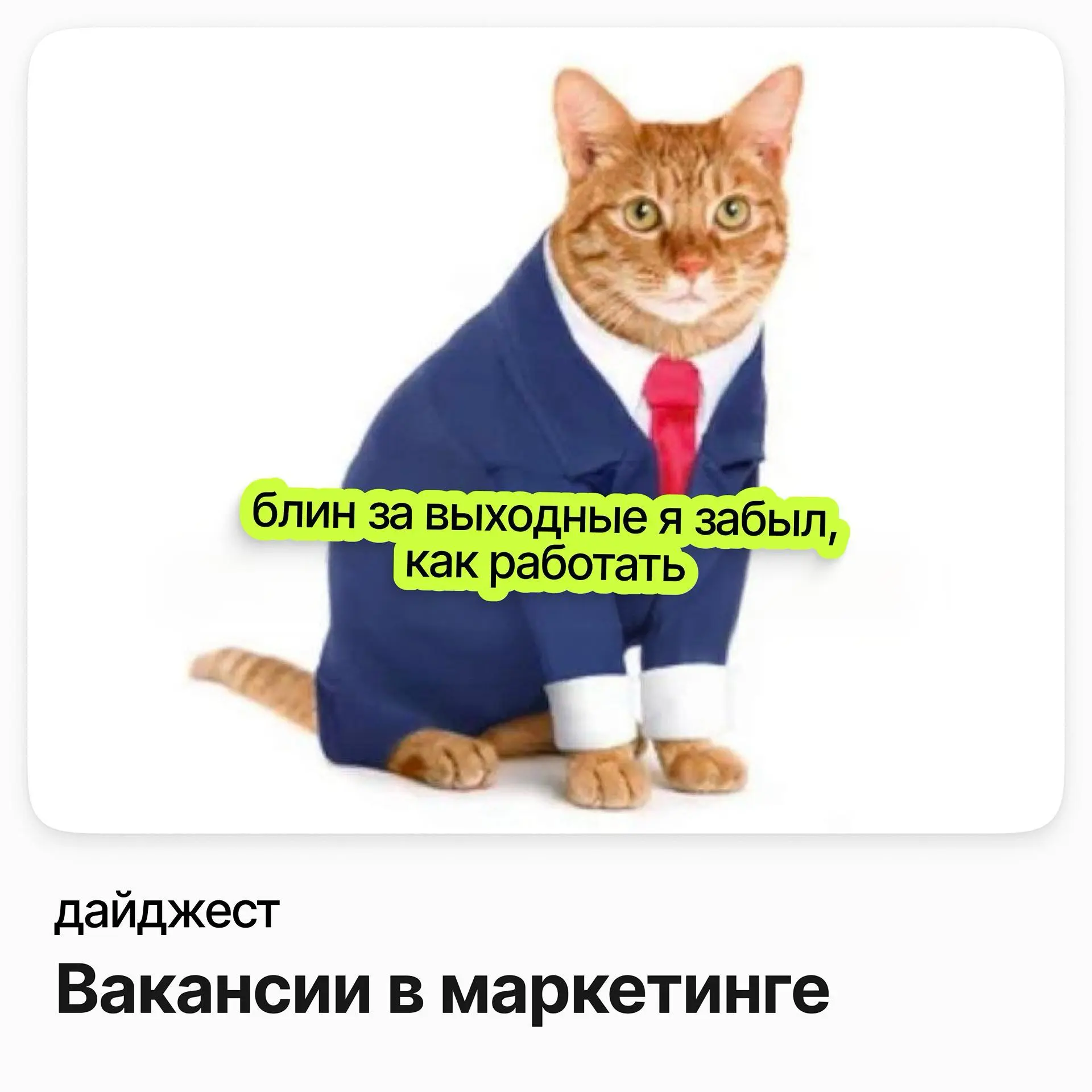 Вакансии в маркетинге | Сетка — социальная сеть от hh.ru